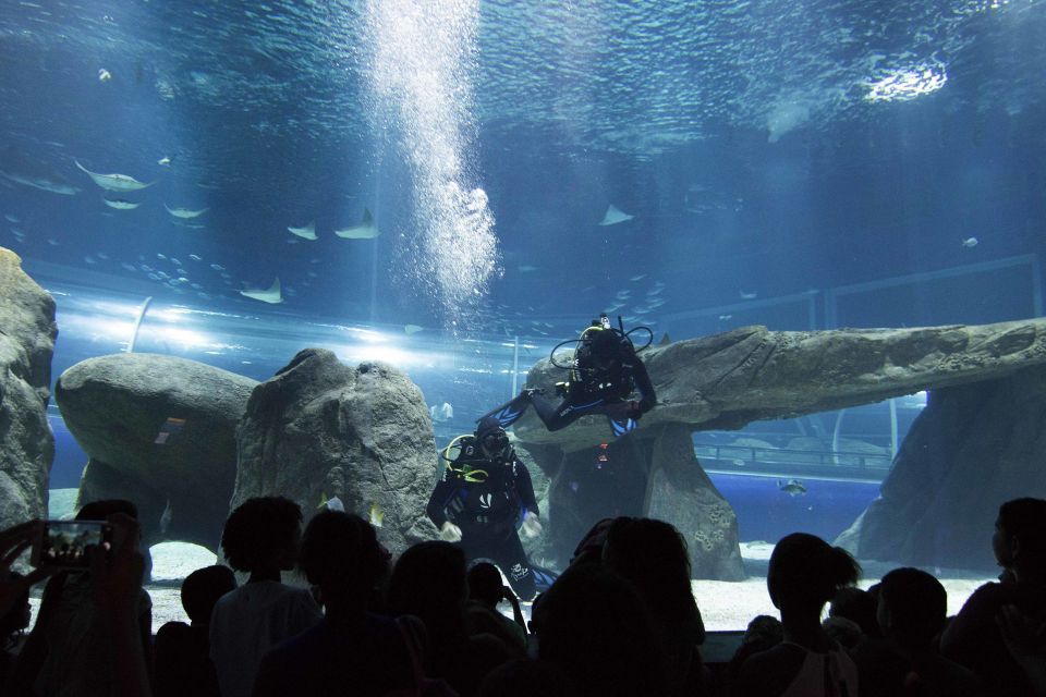 Rio De Janeiro: Marine Aquarium Entry Tickets - Aquarium Experience