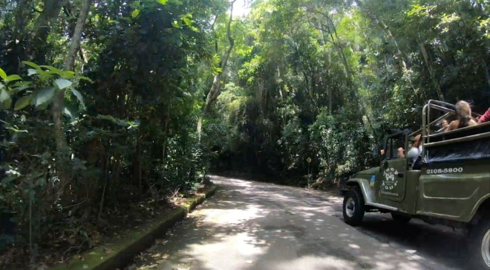 Rio: Jeep Tour to Botanical Garden and Tijuca Forest - Good To Know