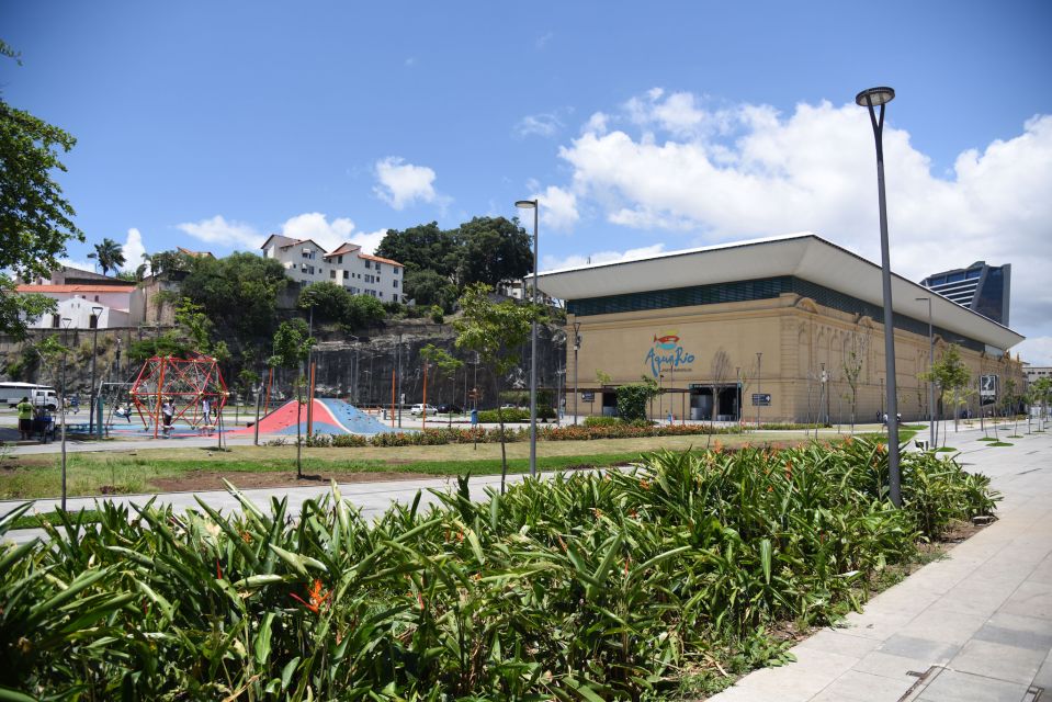 Rio: Olympic Boulevard, AquaRio and Museum of Tomorrow Tour - Experience Highlights