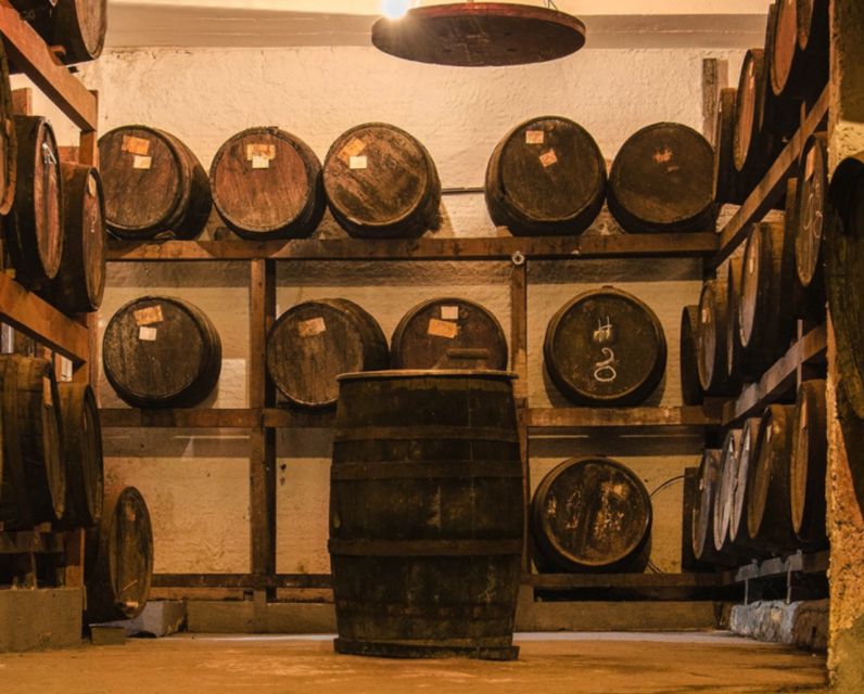 Rio: Sitio Burle Marx and Cachaça Distillery Private Tour - Experience Highlights