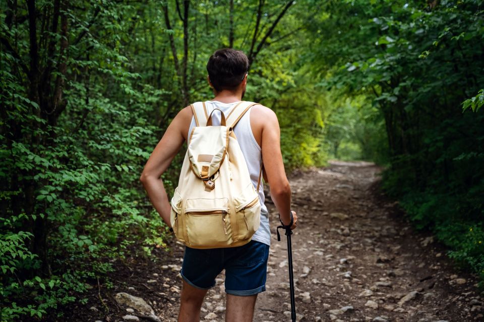 Rio: Tijuca National Park Private Guided Hike With Transfer - Booking Information