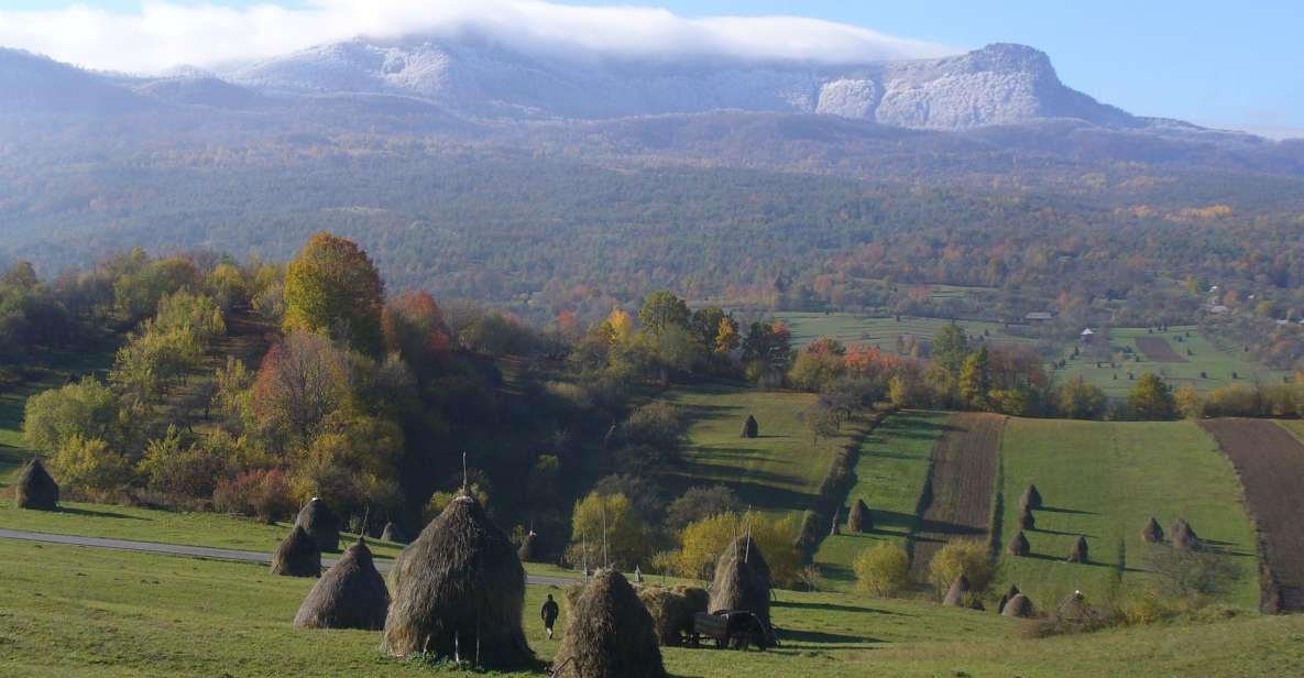 Romania: Private 12 Days Tour With Bed and Breakfast - Tour Duration and Logistics