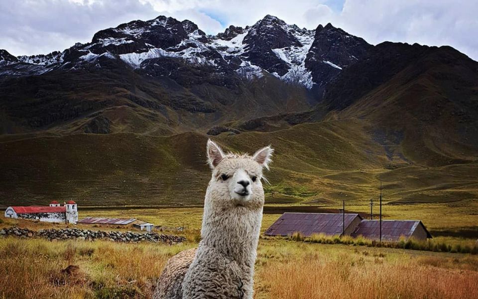 Route of the Sun: Bus Trip From Cusco to Puno With Stops - Historical and Natural Sites Visited