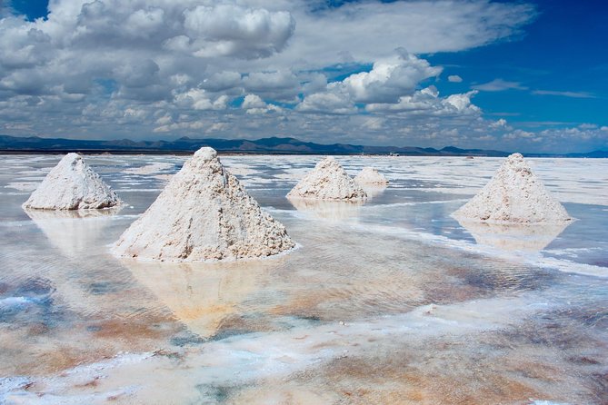 Salar of Uyuni Tour Full Day - Tour Inclusions