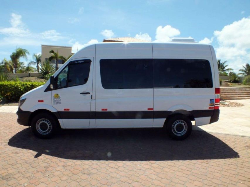 Salvador: Shared Transfer From the Airport to Hotels - Good To Know