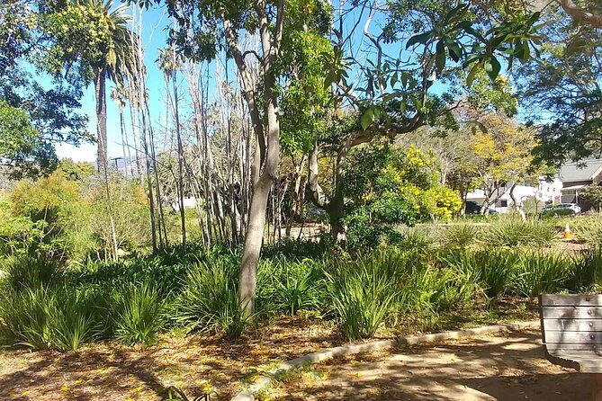 Santa Barbaras Beginnings: A Self-Guided Audio Tour - Delving Into Santa Barbaras Cultural Landmarks