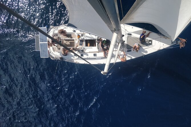 Santa Maria, Cape Verde Sailing: An Unforgettable Experience  - Sal - Witness Beautiful Scenery and Wildlife