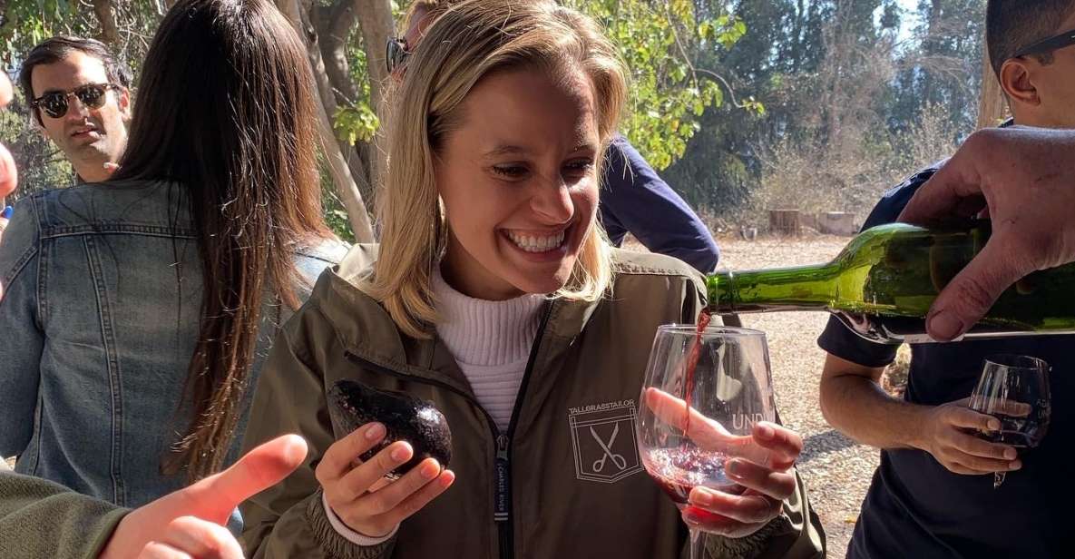 Santiago: Maipo Valley Wine Tasting Tour With 3 Vineyards - Tour Itinerary Overview