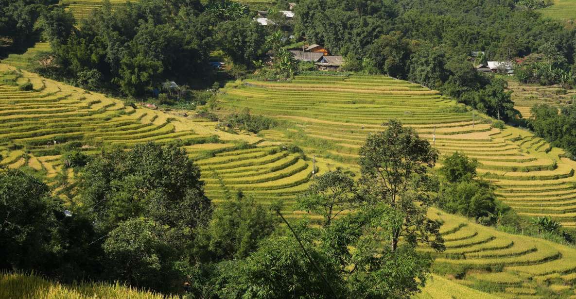 Sapa Daily Trip: Easy Trekking and Hotel 2 Days 1 Night - Inclusions