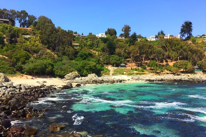 Scenic Coastal Adventure: Pacific Ocean Hike - Booking Information