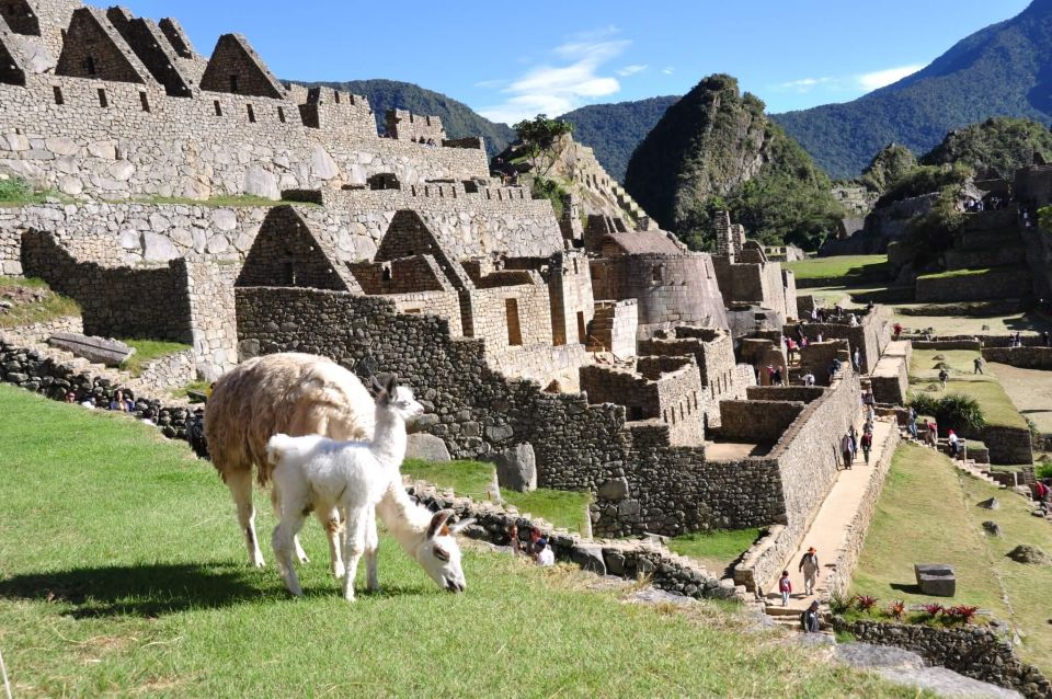 Short Inca Trail to Machu Picchu - Activity Details