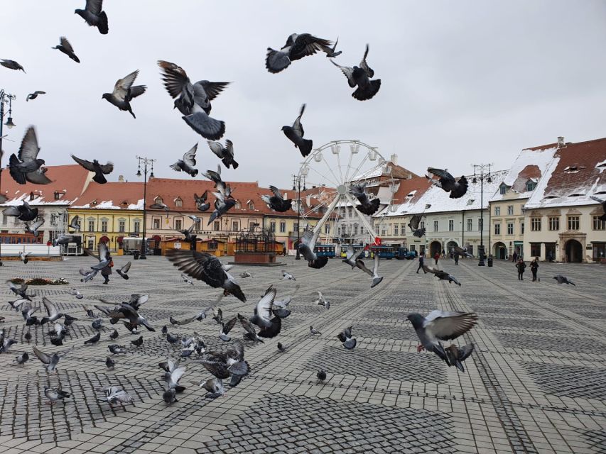 Sibiu City Tour - Private Day Trip From Bucharest - Good To Know
