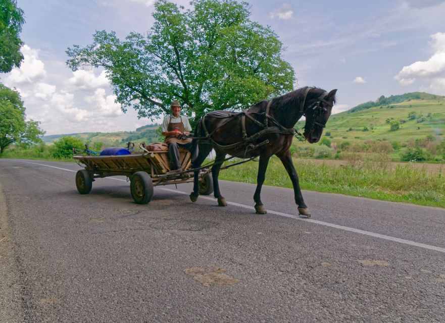 Sibiu: Guided Highlights E-bike Tour - Activity Details