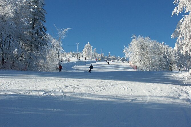 Skiing for Beginners - Private Day Trip From Krakow - Logistics and Pickup Information