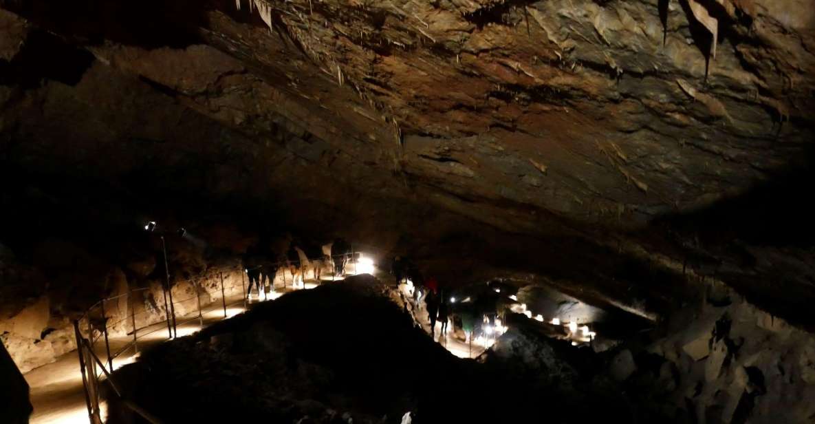 Skocjan Cave Day Tour From Ljubljana - Logistics and Amenities