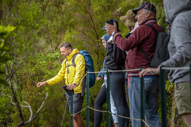 Skywalk & Rabacal "25 Fountains Levada Walk" in 4X4 Full Day Tour - Traveler Photos and Reviews