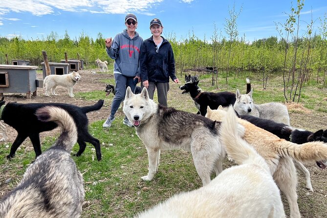 Sled Dog Kennel Tour - Common Questions