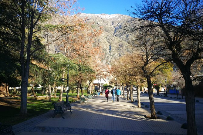 Small Group Adventure: Explore Cajón Del Maipo - Fees and Inclusions