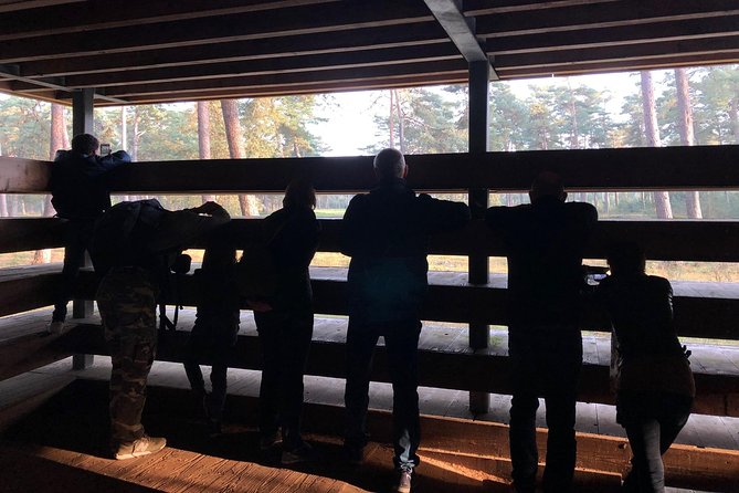 Small Group Tour to NP Hoge Veluwe (Van Gogh) From Amsterdam - Traveler Reviews and Ratings