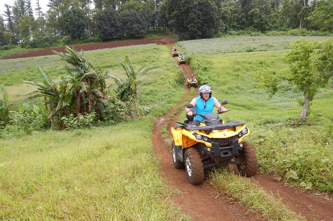 Small Quad Tour 2h30 Quad Excursion in Moorea (Single or Two-Seater) - Tour Details