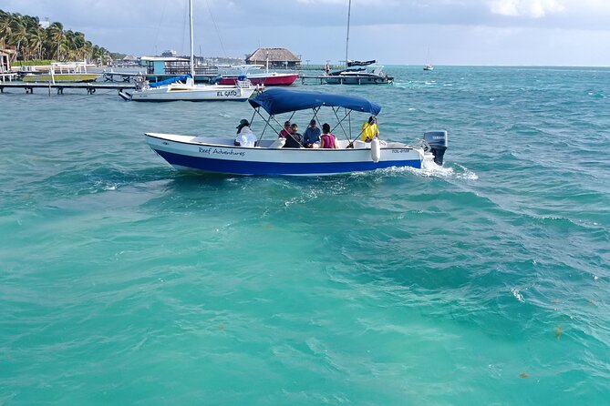 Snorkeling at Hol Chan Marine Reserve & Shark Ray Alley (3.0 Hrs) - Booking Information