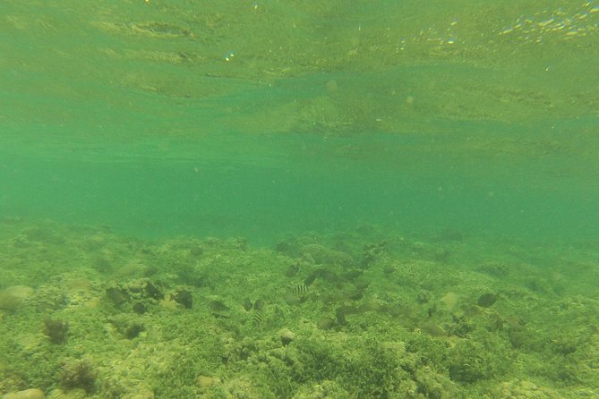 Snorkeling in Gatas Bay - Snorkeling Safety Tips