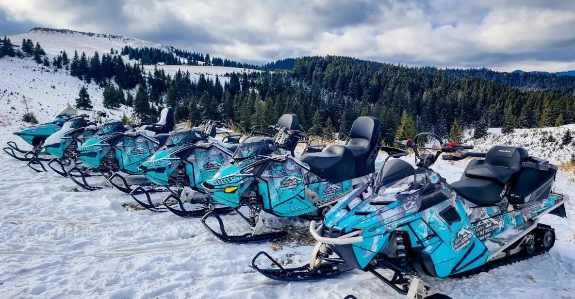 Snowmobile Tour In Bucegi Mountains - Tour Itinerary