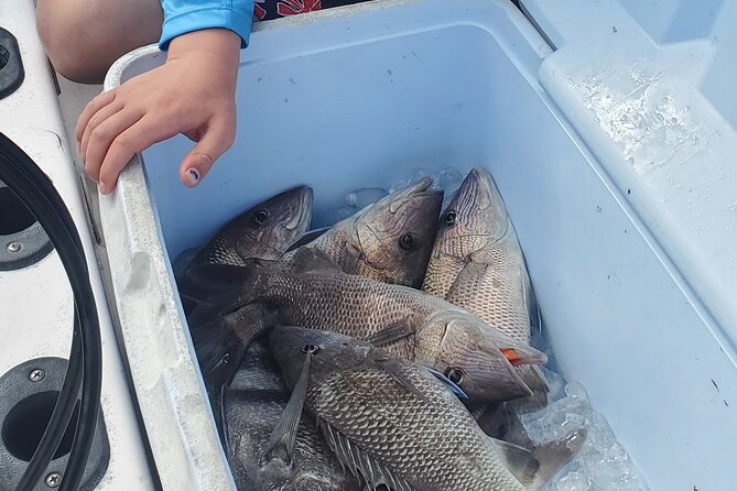 Sonnys Boat Tours Half Day Off Shore Fishing Charter Englewood Fl - Fishing Equipment Provided
