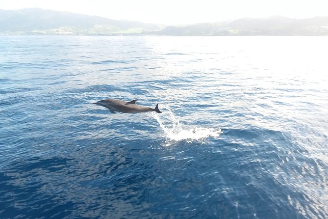 St. Thomas Private Snorkeling Expedition  - St Thomas - The Sum Up