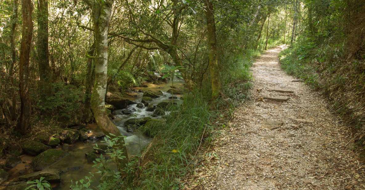 Stone and Nature: Vila Velha and Buraco Do Padre, Paraná - Tour Details