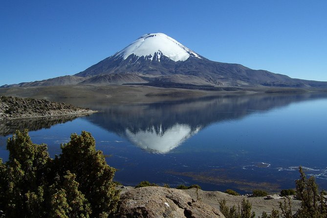 Stunning Arica Tour: Lauca National Park Adventure - Booking Details and Duration