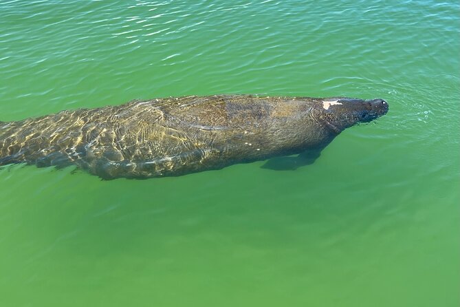 Tahe Paddle Board SUP Rental - Big Hickory, Bonita Springs - Booking Process and Details