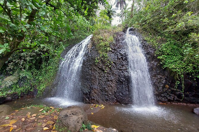 Tahiti Half Day Coastal Private Tour - Itinerary Overview