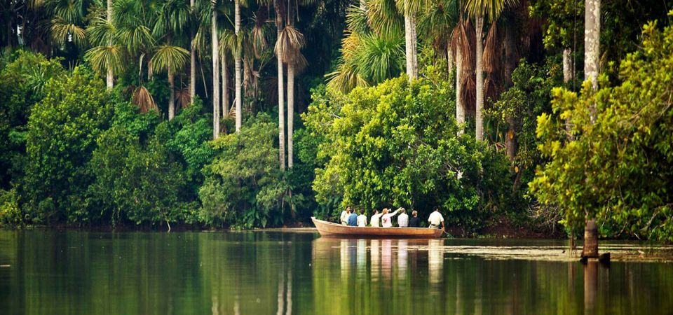 Tambopata: Cayman Safari Macaw Clay Lick 2-Days - Experience Highlights