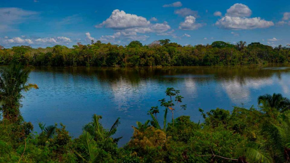Tambopata: Lake Sandoval and Cayman Safari 2-days - Itinerary Overview