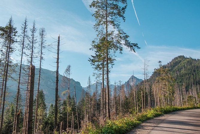 Tatra Mountains National Park Hike - Trail Overview