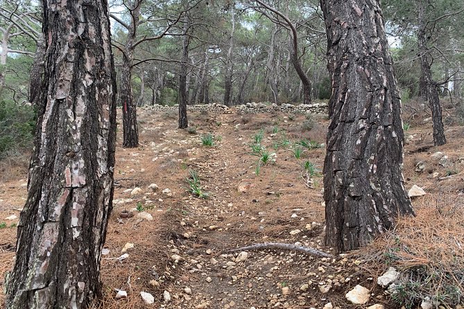 The Agia Kyriaki Walk by Art and Walk - Activity Requirements and Restrictions