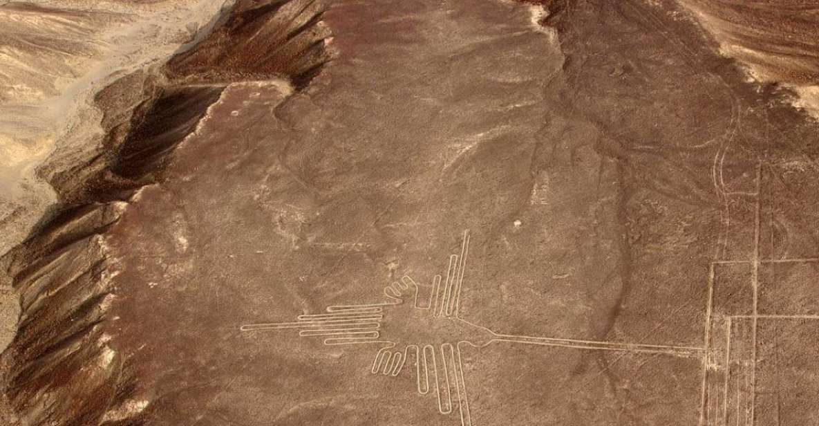 The Nazca Lines & Buggy at Huacachina Oasis - Full Day - Experience Highlights