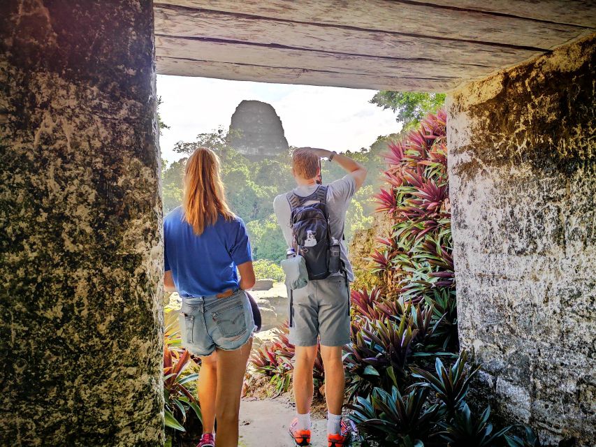 Tikal Sunrise, Archeological Focus and Wildlife Spotting - Experience Highlights