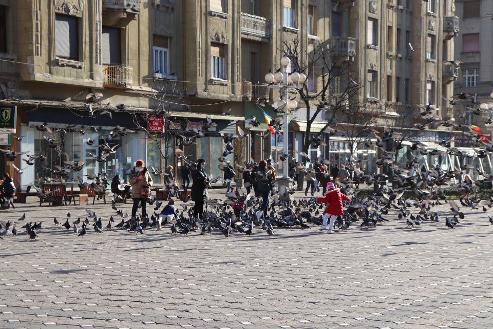 TimișOara: Express Walk With a Local in 60 Minutes - Good To Know
