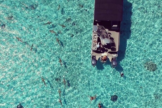 Toa Boat Bora Bora Private Lagoon Tour With Lunch on Entertainer Bar Boat - Questions and Contact Information