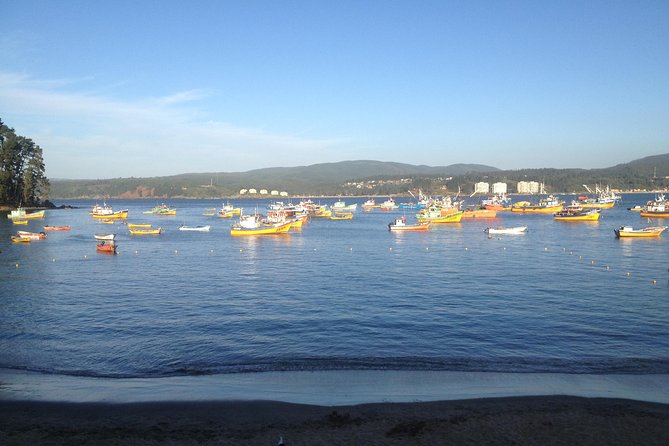 Tour Around the Coast Towns in Tomé & Dichato - Good To Know