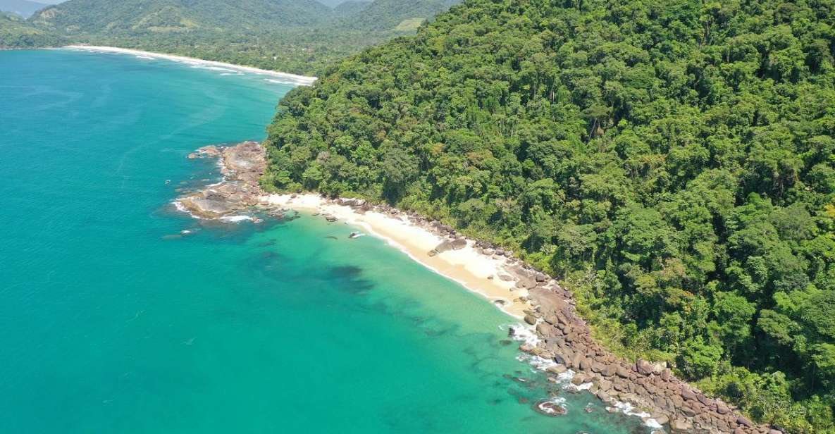 Tour for Brava De Itamambuca Beach - Highlights