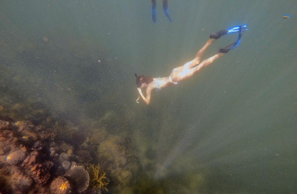 Tour Freediving Phu Quoc: Fascinating Free-Diving Moments - Booking and Reservation Details