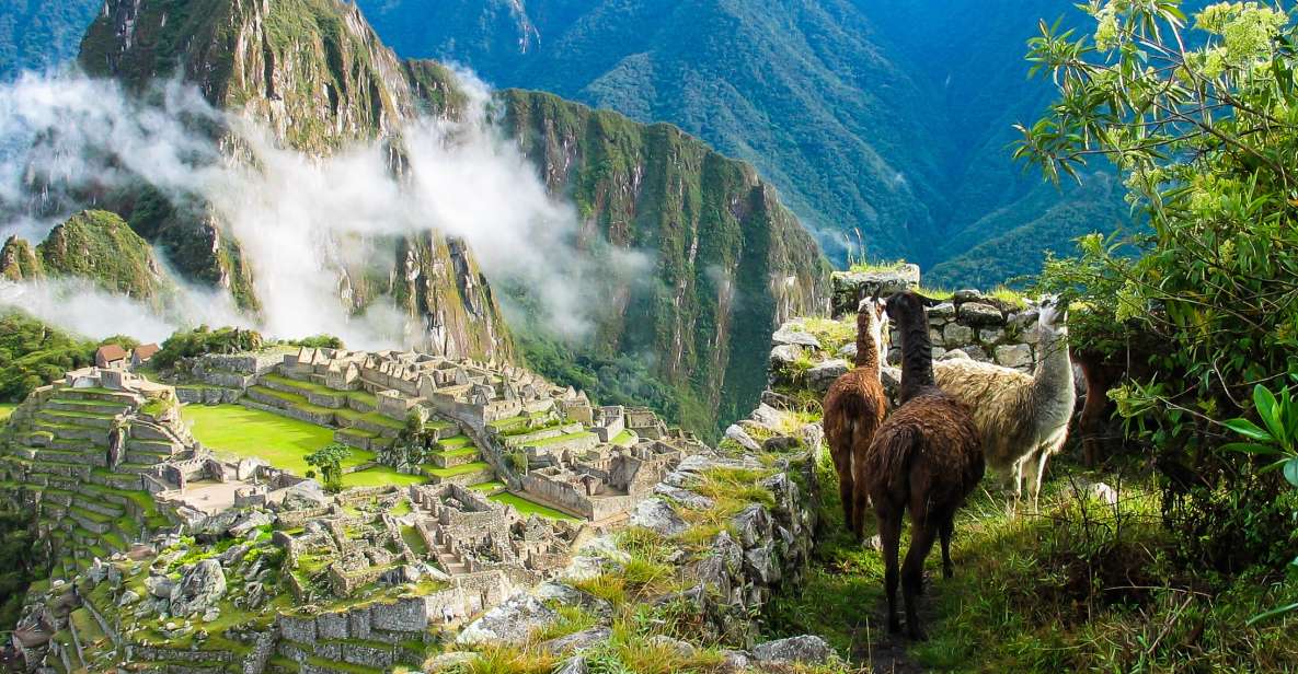Tour Hotel Cusco and Machu Picchu 5 Days 4 Nights - Day 1 - City Tour Cusco