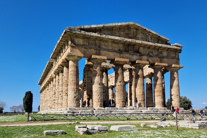 Tour of the Temples of Paestum and the Buffalo Mozzarella Farm - Good To Know