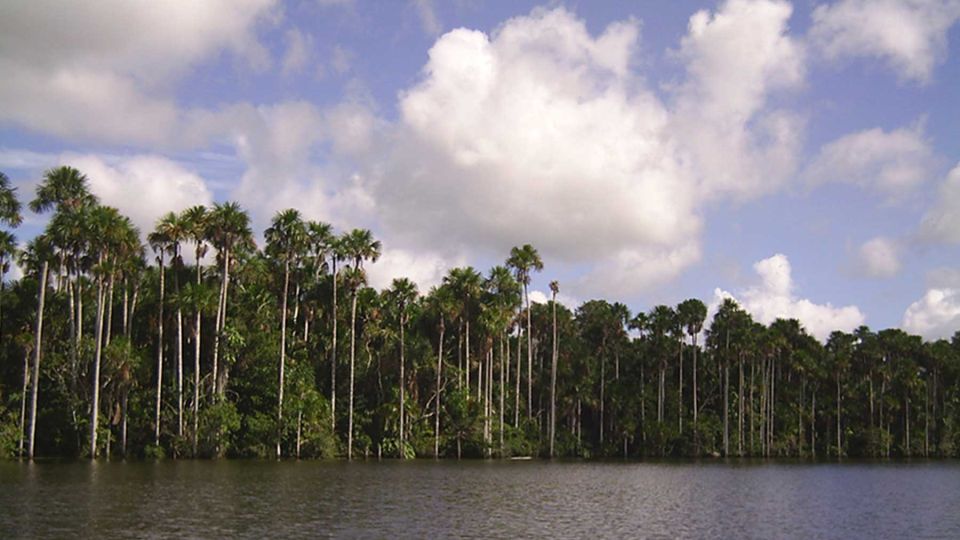 Tour to Tambopata: Amazon Adventure 3d/2n - Inclusive Adventure Activities