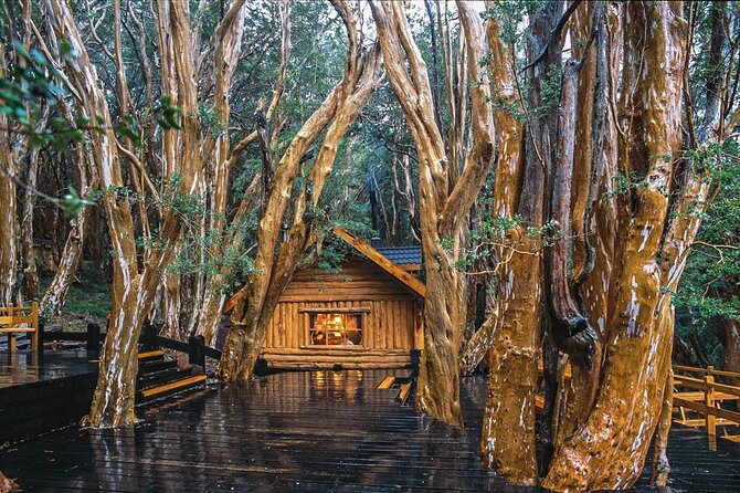 Tour With Navigation to the Arrayanes Forest and Victoria Island - Good To Know