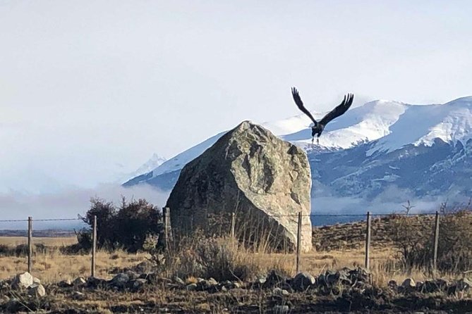 Transfer to and Form Airport El Calafate - Good To Know