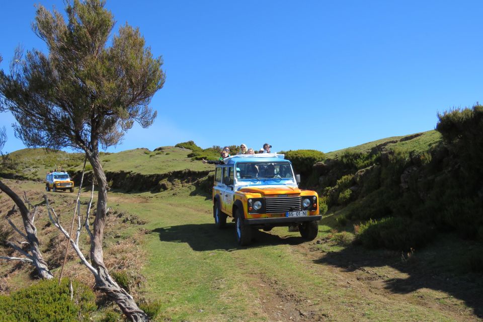 Treasures of the East: An Unforgettable Jeep Tour to Santana - Tour Description